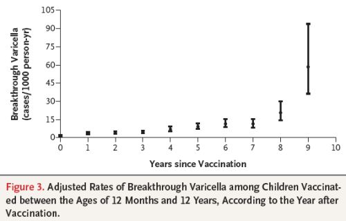 Abnahme des VZV-Impfschutzes über die Zeit